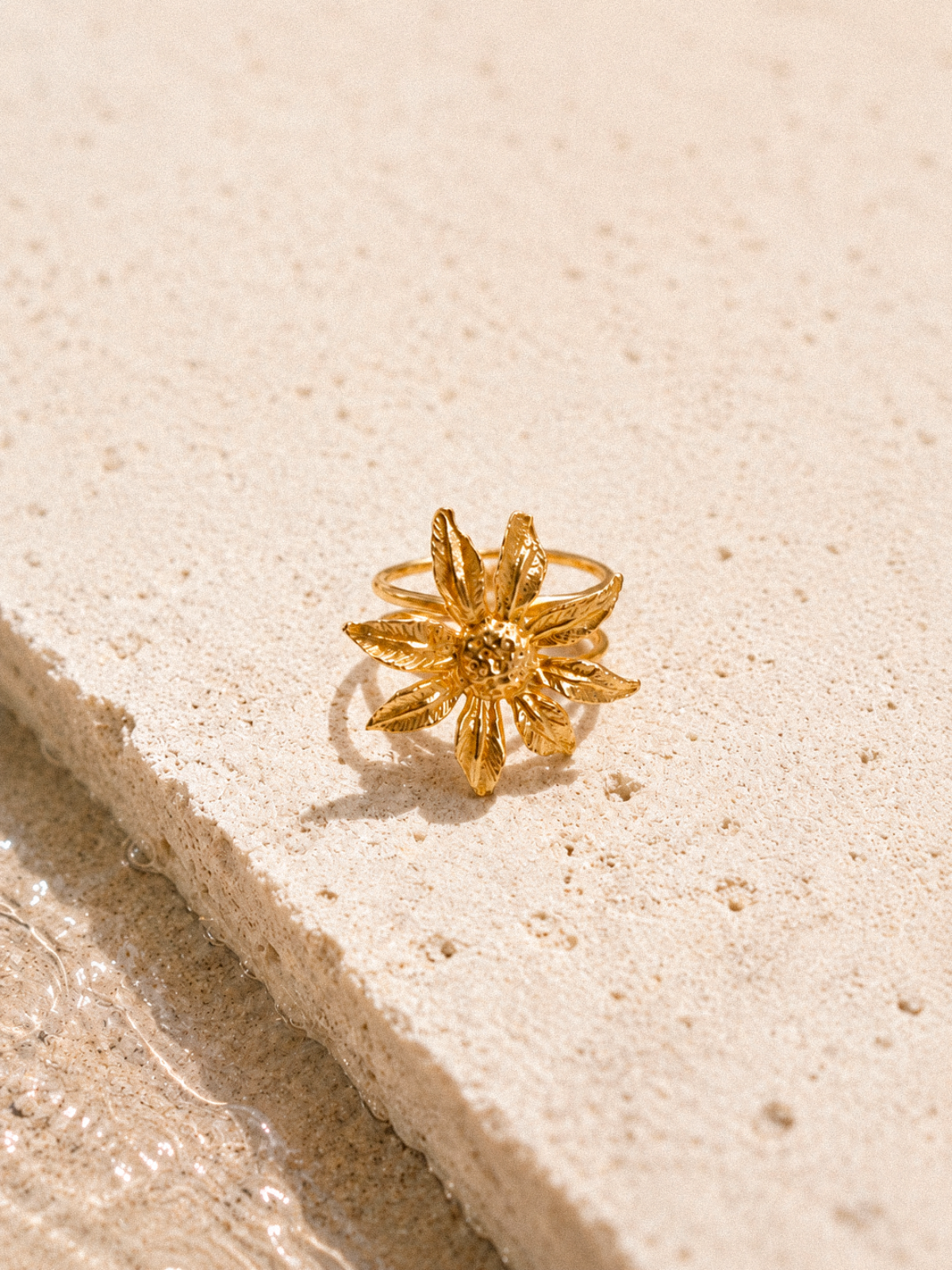 Anillo Cannes
